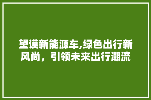 望谟新能源车,绿色出行新风尚，引领未来出行潮流