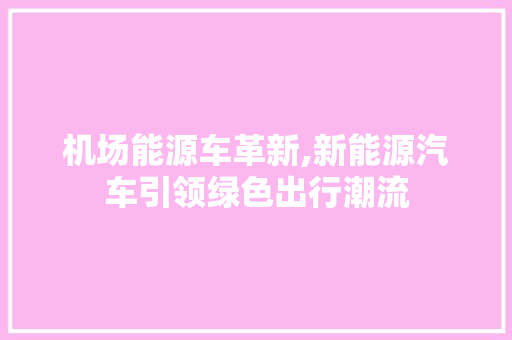 机场能源车革新,新能源汽车引领绿色出行潮流 汽车展览