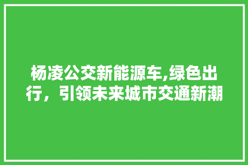 杨凌公交新能源车,绿色出行，引领未来城市交通新潮流
