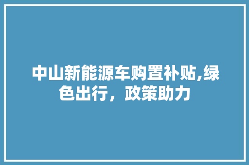中山新能源车购置补贴,绿色出行，政策助力