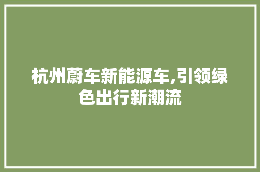 杭州蔚车新能源车,引领绿色出行新潮流 智能驾驶