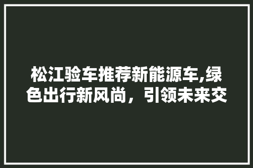 松江验车推荐新能源车,绿色出行新风尚，引领未来交通潮流
