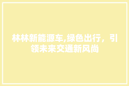 林林新能源车,绿色出行，引领未来交通新风尚 新能源汽车