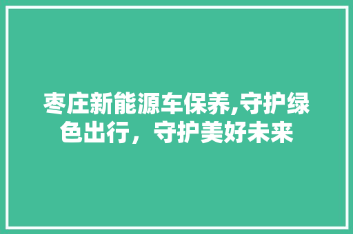 枣庄新能源车保养,守护绿色出行，守护美好未来