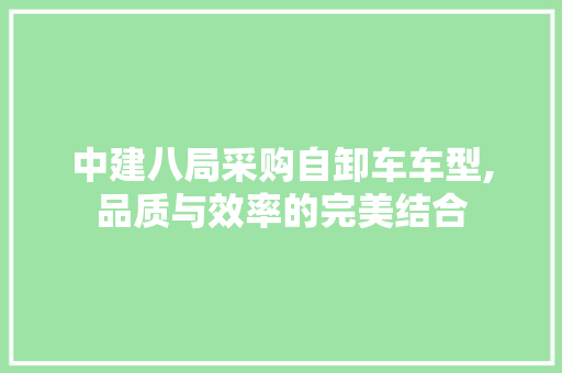 中建八局采购自卸车车型,品质与效率的完美结合