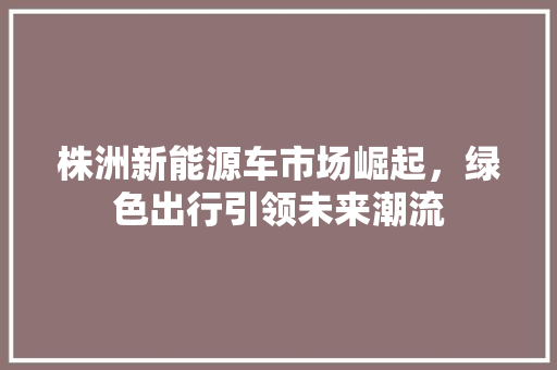 株洲新能源车市场崛起，绿色出行引领未来潮流 车载导航