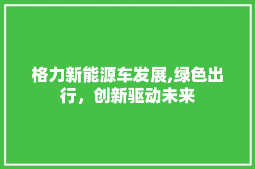 格力新能源车发展,绿色出行，创新驱动未来