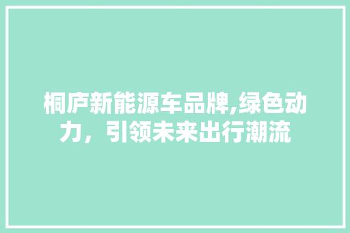 桐庐新能源车品牌,绿色动力，引领未来出行潮流