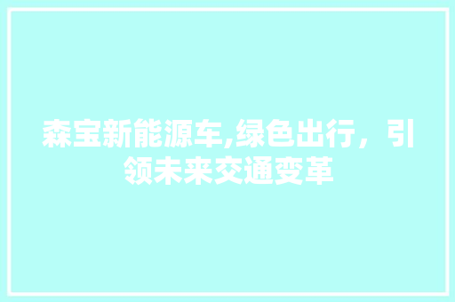 森宝新能源车,绿色出行，引领未来交通变革