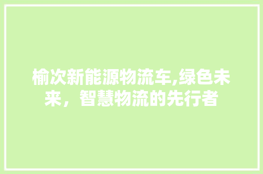 榆次新能源物流车,绿色未来，智慧物流的先行者