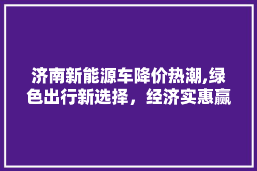济南新能源车降价热潮,绿色出行新选择，经济实惠赢未来 智能驾驶
