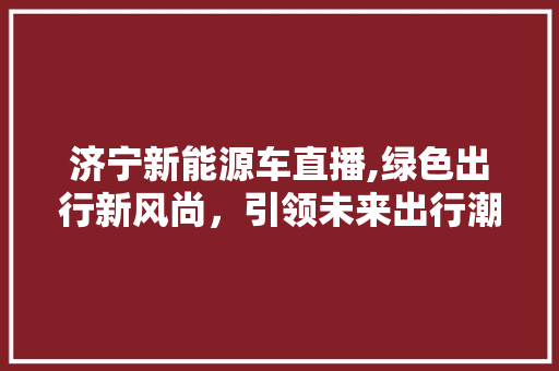 济宁新能源车直播,绿色出行新风尚，引领未来出行潮流