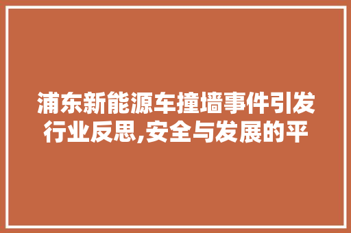 浦东新能源车撞墙事件引发行业反思,安全与发展的平衡之路