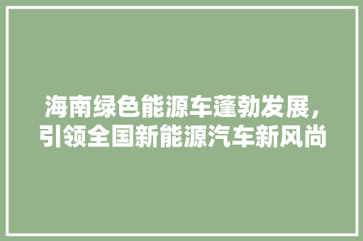 海南绿色能源车蓬勃发展，引领全国新能源汽车新风尚