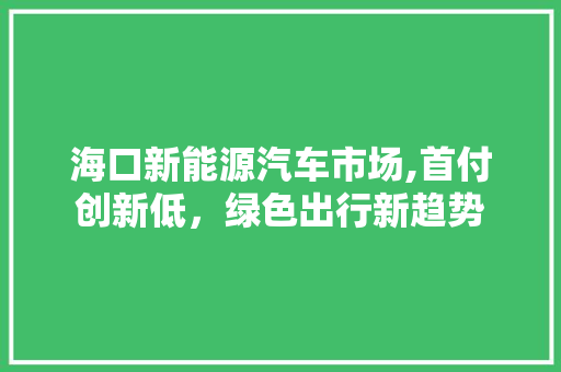 海口新能源汽车市场,首付创新低，绿色出行新趋势 汽车保养