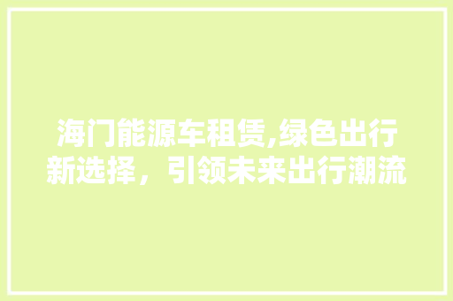 海门能源车租赁,绿色出行新选择，引领未来出行潮流