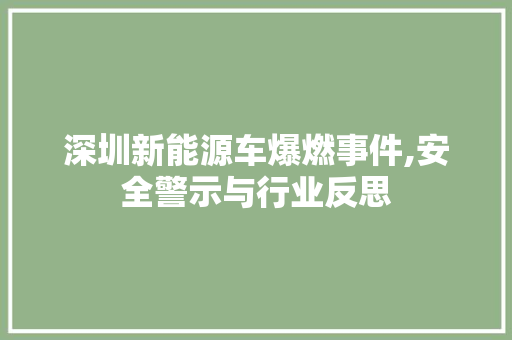 深圳新能源车爆燃事件,安全警示与行业反思