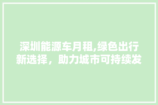深圳能源车月租,绿色出行新选择，助力城市可持续发展 车型评测