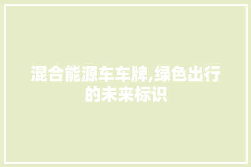 混合能源车车牌,绿色出行的未来标识 智能驾驶