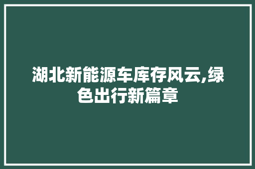 湖北新能源车库存风云,绿色出行新篇章 车载导航