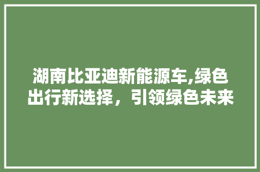 湖南比亚迪新能源车,绿色出行新选择，引领绿色未来 车载导航
