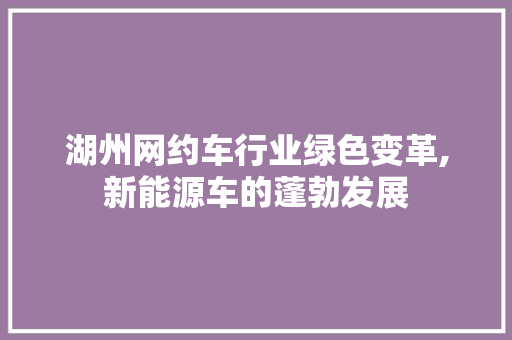 湖州网约车行业绿色变革,新能源车的蓬勃发展 车型评测