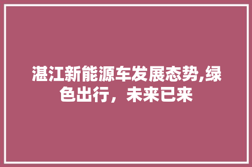 湛江新能源车发展态势,绿色出行，未来已来