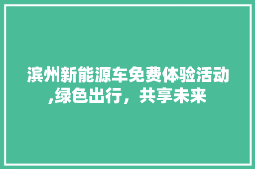 滨州新能源车免费体验活动,绿色出行，共享未来