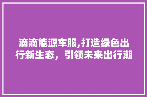 滴滴能源车服,打造绿色出行新生态，引领未来出行潮流