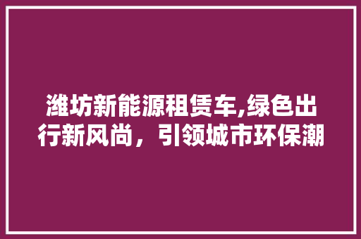 潍坊新能源租赁车,绿色出行新风尚，引领城市环保潮流