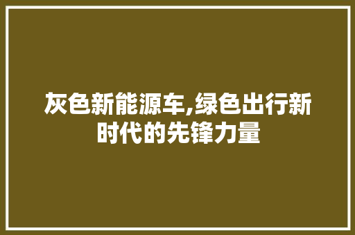 灰色新能源车,绿色出行新时代的先锋力量