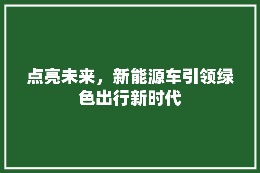 点亮未来，新能源车引领绿色出行新时代