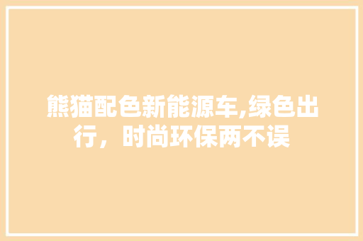 熊猫配色新能源车,绿色出行，时尚环保两不误