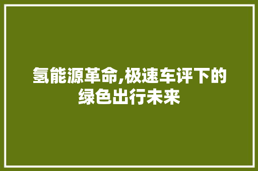 氢能源革命,极速车评下的绿色出行未来
