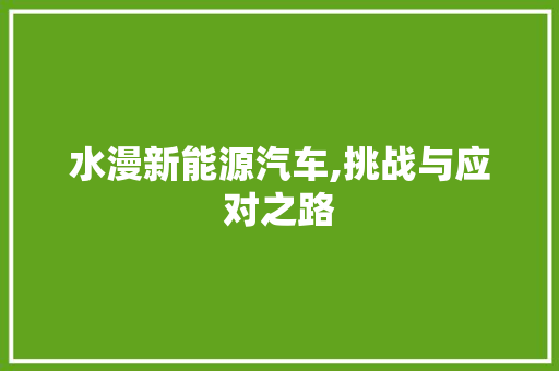 水漫新能源汽车,挑战与应对之路