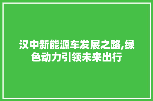 汉中新能源车发展之路,绿色动力引领未来出行