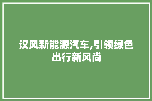 汉风新能源汽车,引领绿色出行新风尚 汽车保养