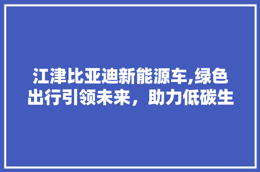 江津比亚迪新能源车,绿色出行引领未来，助力低碳生活