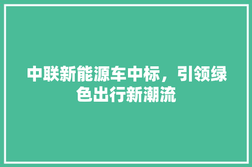 中联新能源车中标，引领绿色出行新潮流 智能驾驶