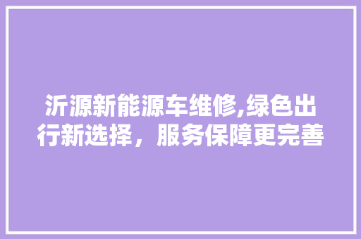沂源新能源车维修,绿色出行新选择，服务保障更完善