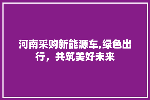 河南采购新能源车,绿色出行，共筑美好未来 汽车配件