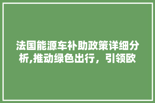 法国能源车补助政策详细分析,推动绿色出行，引领欧洲环保新潮流 汽车轮胎