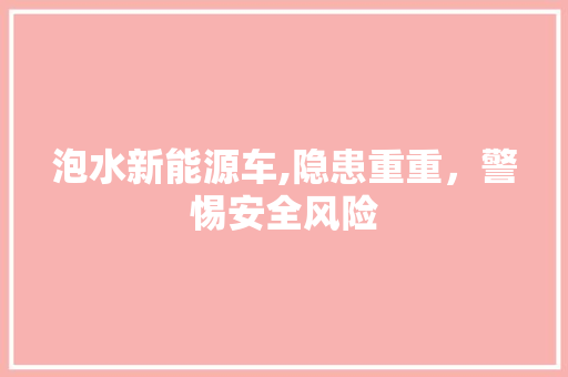 泡水新能源车,隐患重重，警惕安全风险 汽车展览