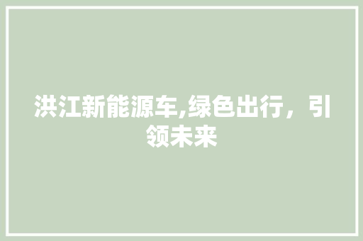 洪江新能源车,绿色出行，引领未来 车型评测