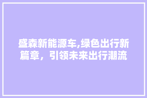 盛森新能源车,绿色出行新篇章，引领未来出行潮流 车型评测