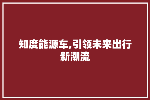 知度能源车,引领未来出行新潮流