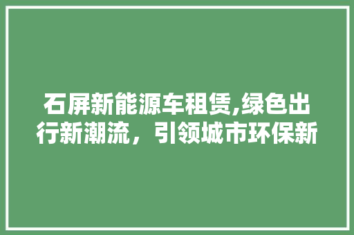 石屏新能源车租赁,绿色出行新潮流，引领城市环保新风尚 汽车保养