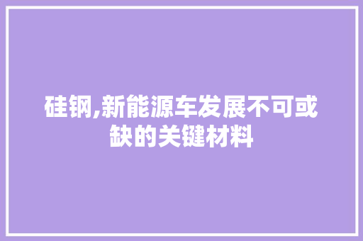 硅钢,新能源车发展不可或缺的关键材料