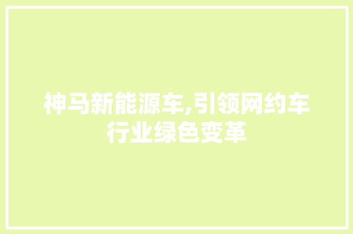 神马新能源车,引领网约车行业绿色变革