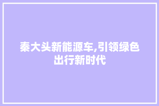 秦大头新能源车,引领绿色出行新时代 混合动力车